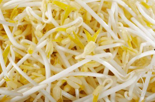 豆芽爆料视频大全集,揭秘娱乐圈幕后真相 第3张 豆芽爆料视频大全集,揭秘娱乐圈幕后真相 第3张