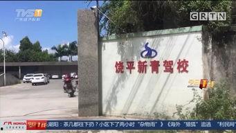 饶平最新爆料消息今天,揭秘今日热点事件背后的真相 第1张 饶平最新爆料消息今天,揭秘今日热点事件背后的真相 第1张