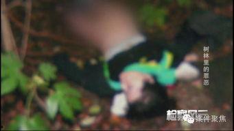 变态色魔在线观看,网络深渊中的罪恶之旅 第2张 变态色魔在线观看,网络深渊中的罪恶之旅 第2张