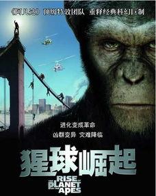 猩球崛起 在线观看,重燃原始野性，在线见证猿类崛起之路